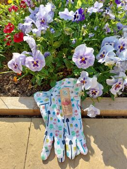 Forget Me Not Gift Set With Flower Seeds, 4 of 7