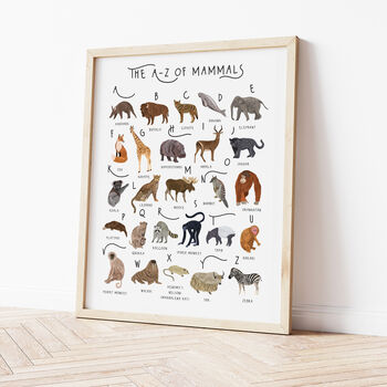 The A To Z Of Mammals Print, 4 of 6