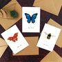 Insect Specimens Notecard Pack, thumbnail 1 of 6