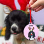 Personalised Cute Reindeer Dog Christmas Decoration, thumbnail 1 of 12