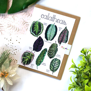 Calathea Plant Leaf Card, 2 of 9