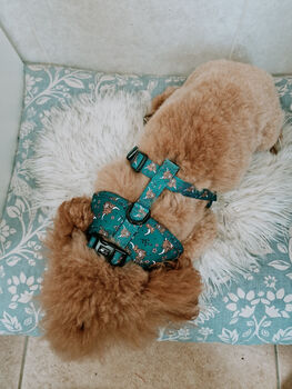 Happy Highland Cow Dog Harness, 11 of 12