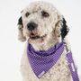 Purple Dog Collar And Lead/Leash Set, thumbnail 2 of 6