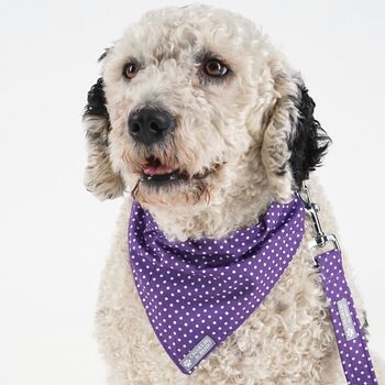 Purple Dog Collar And Lead/Leash Set, 2 of 6