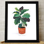 Fiddle Leaf Fig House Plant Print, thumbnail 2 of 2