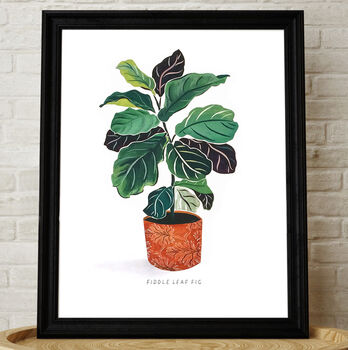 Fiddle Leaf Fig House Plant Print, 2 of 2