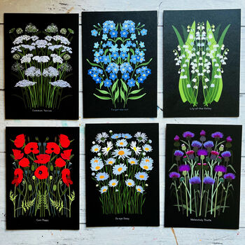 Wildflower Illustrated Postcards, 8 of 9