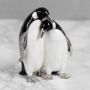 Crystal Finished Penguins Trinket Box, Gift Boxed, thumbnail 1 of 2