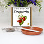 Gardening Gift. Grow Your Own Strawberry Plant Kit, thumbnail 1 of 4