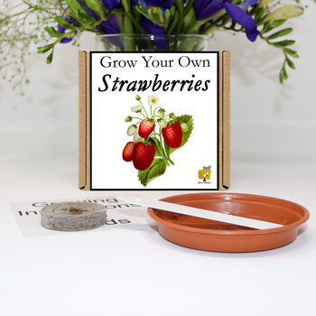 Gardening Gift. Grow Your Own Strawberry Plant Kit, 2 of 6