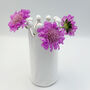 Single Stem Bud Vase: Regal Posy, thumbnail 6 of 7