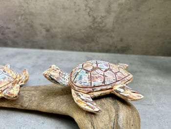 Double Painted Turtle Figurine Ornament – Root Sculpture, 11 of 12