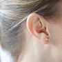 Handmade 22ct Gold Plated Silver Fossil Earrings, thumbnail 2 of 7