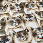 Fun Cat Faces Decorative Soft Cushion Cover, thumbnail 2 of 7