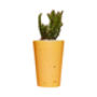 Concrete Pot Tall With Cactus/ Succulent In Yellow, thumbnail 2 of 3