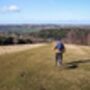Box Hill And Back: A Circular Walk In The Surrey Hills From Box Hill And Westhumble Station, thumbnail 3 of 5