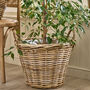 Lira Wicker Round Lined Planter Basket With Handles, thumbnail 3 of 7