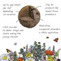 Wildflower Seeds For Bees Pack Of Three, thumbnail 5 of 9