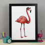Flamingo In A Tropical Baseball Cap Unframed Print, thumbnail 1 of 3