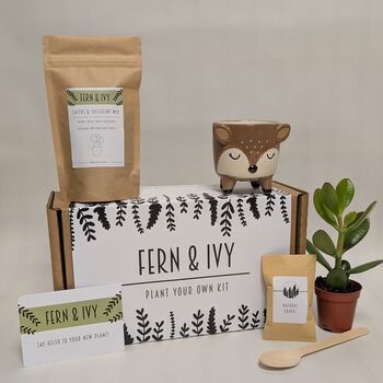 Plant Your Own Succulent Kit, 7 of 12