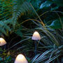 Set Of 12 Mushroom Solar Stake Lights, thumbnail 3 of 4