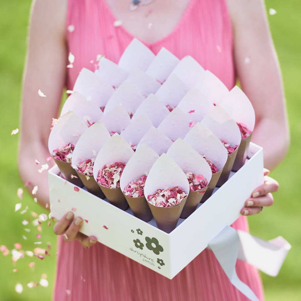 25 Biodegradable Wedding Petal Confetti Cones, 1 of 12