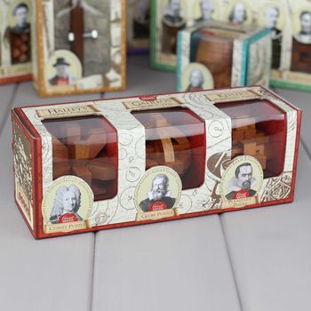 Three Classic Wooden Puzzles Based On Great Minds, 2 of 5