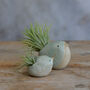 Bird Air Plant Holder In Mint Green, thumbnail 2 of 11