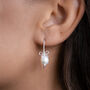 Sterling Silver Pearl Bow Earrings, thumbnail 1 of 11