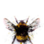 Manchester Bee Ink Splash Limited Edition Signed Print, thumbnail 2 of 2