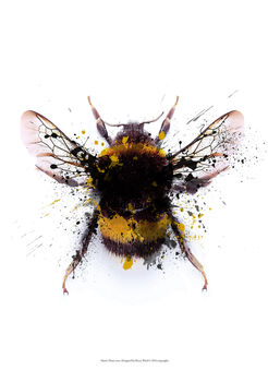 Manchester Bee Ink Splash Limited Edition Signed Print, 2 of 2