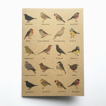 Garden Bird Notebook, 2 of 5