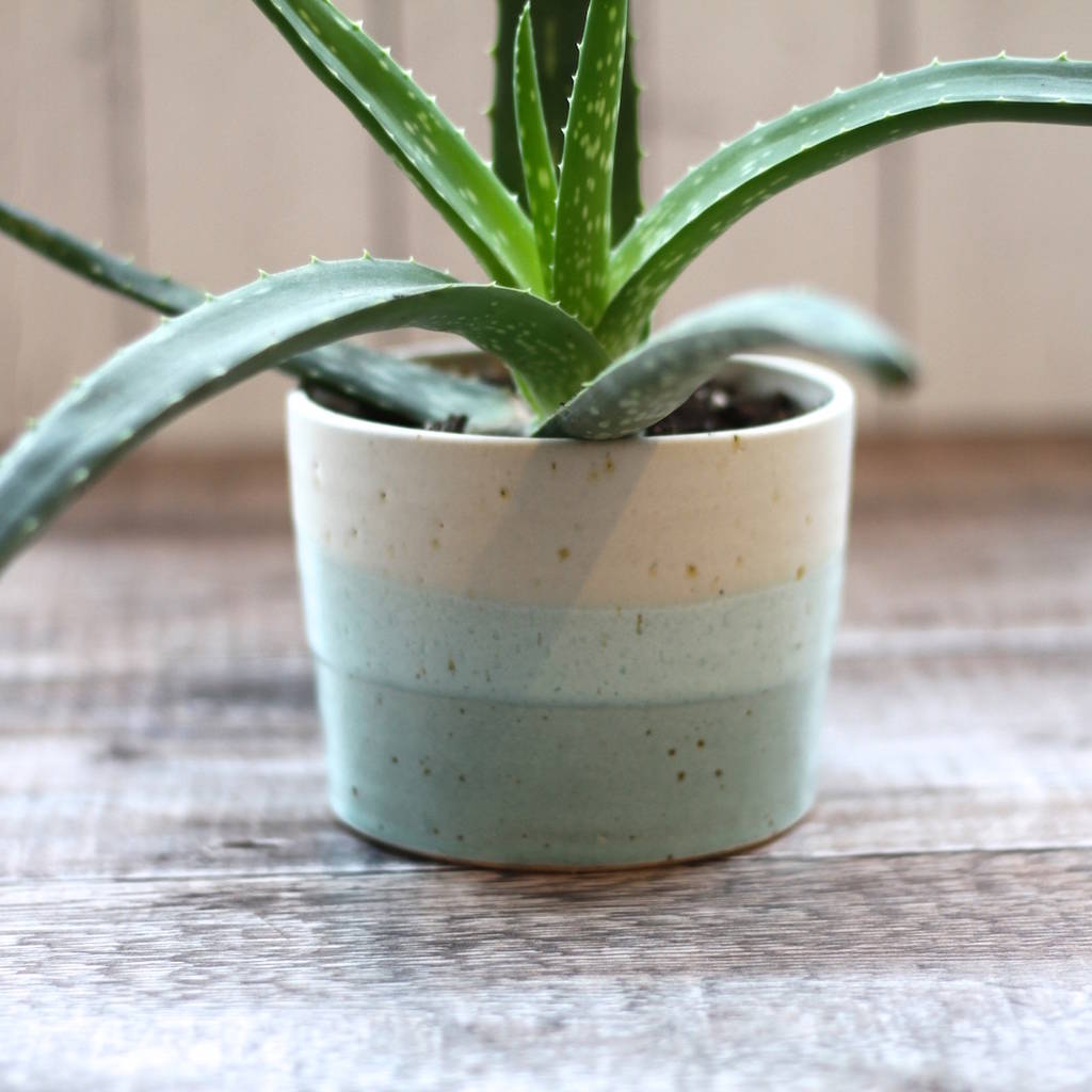 Handmade Planter By Emily Doran Pottery