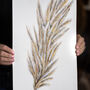 Pampas Grass A3 Art Print, thumbnail 3 of 4