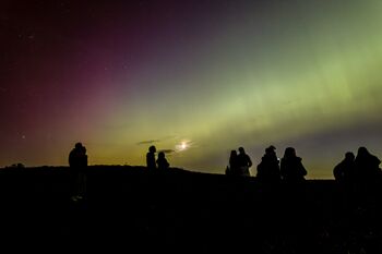 Group Stargazing, 7 of 7