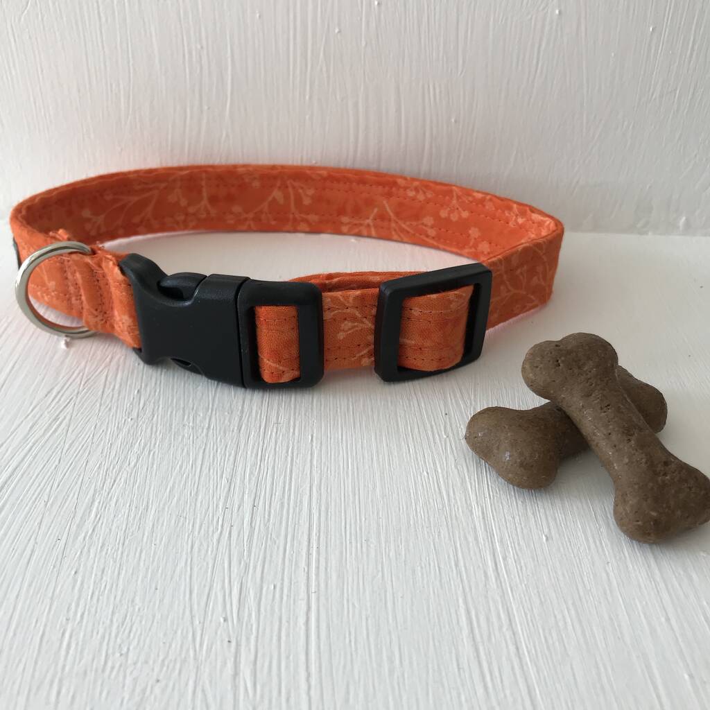 Orange Or Yellow Dog Collar For Girl Or Boy Dogs By Charlie and Boo
