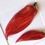 Kitchen Ceramic Wall Art: Red Peppers, thumbnail 3 of 3