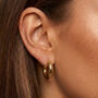 Thick Small Hoop Earrings In 18k Gold, Minimalist Women's Jewellery, thumbnail 1 of 6