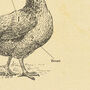 British Chicken Butcher Chart, thumbnail 3 of 9