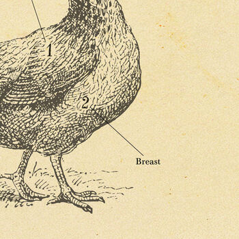 British Chicken Butcher Chart, 3 of 9