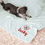 Personalised Pet Blanket With Logo, thumbnail 12 of 12