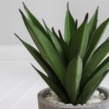 Faux Aloe Vera In Grey Pot, 3 of 5