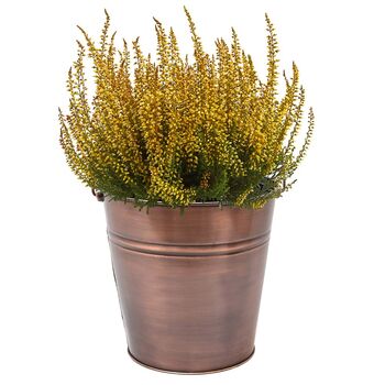 Burnished Copper Planter Bucket, 2 of 8