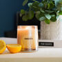 Be Still! Calming And Relaxing Aromatherapy Candle, thumbnail 5 of 8