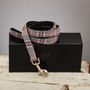 The Winchester Grey And Pink Woolen Checked Dog Lead, thumbnail 1 of 3