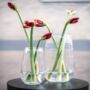 Vase Robert Clear Glass By Dut Z, thumbnail 3 of 6