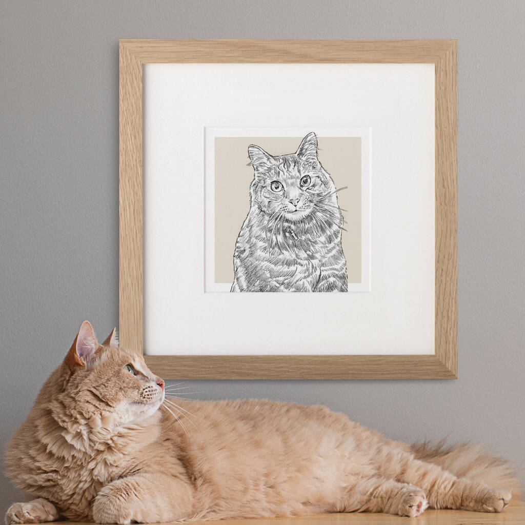 Bespoke Cat Portrait, 1 of 10