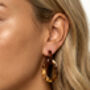Tortoiseshell Brown Acrylic Drop Earrings, thumbnail 1 of 4