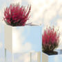 White Square Metal Planter With Stand, thumbnail 2 of 6