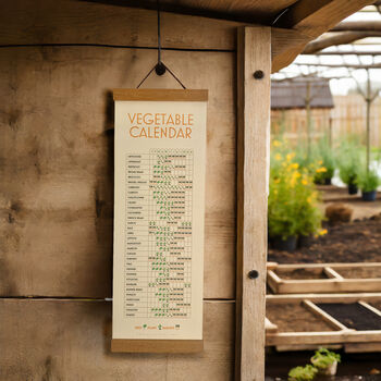 Vegetable Calendar, 3 of 4